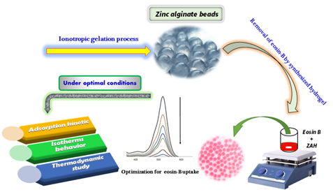 Zinc Alginate Beads as an Effective Biosorbent for the Removal of Eosin-B from Aquatic Solutions: Equilibrium, Kinetics, and Thermodynamic Behaviors