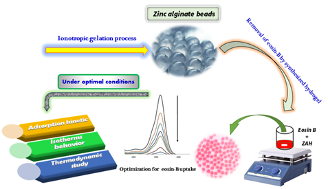 Zinc Alginate Beads as an Effective Biosorbent for the Removal of Eosin-B from Aquatic Solutions: Equilibrium, Kinetics, and Thermodynamic Behaviors 