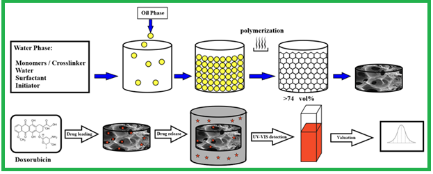 Synthesis of Porous Polymer with Biocompatible Sodium Alginate and 2-Hydroxyethyl Methacrylate Monomers in High Internal Emulsion as Drug Delivery Substrate in Releasing of Doxorubicin