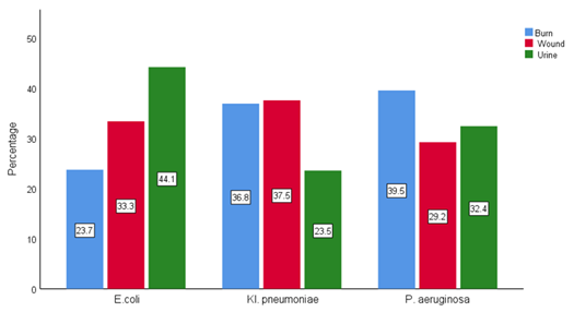Diagnosis of Infecting Pathogen Bacteria by Multiplex PCR and Evaluation of Inhibition Antibiofilm Using Zinc Oxide Nanoparticle 