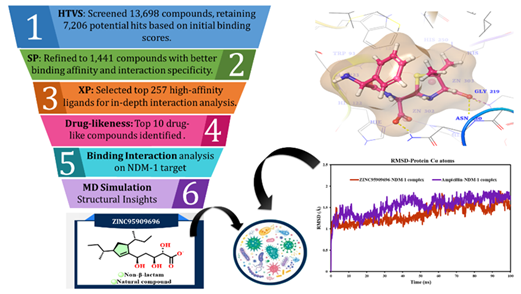 <em>In Silico</em> Discovery of Natural Inhibitors against New Delhi Metallo-<em>&beta;</em>-Lactamase-1: A Step towards Combating Superbug Resistance 