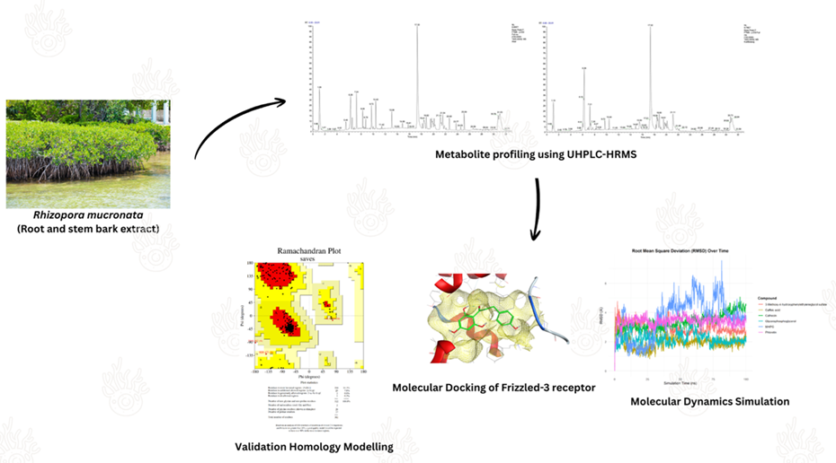 Computational Evaluation of <em>Rhizophora mucronata </em>Root and Stem Bark Metabolites as Modulators Pigmentation <em>via</em> Frizzled Receptors 