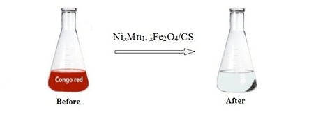 An Insight on Kinetic Adsorption of Congo Red Dye from Aqueous Solution using Magnetic Chitosan Based Composites as Adsorbent 