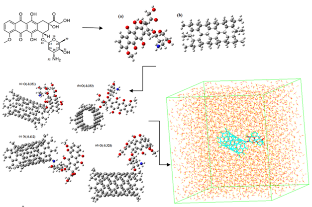Enhanced Computational Modeling of Carbon Nanocarriers for Optimized Doxorubicin Drug Delivery: A QM/Monte Carlo Simulation Scrutiny and Approach