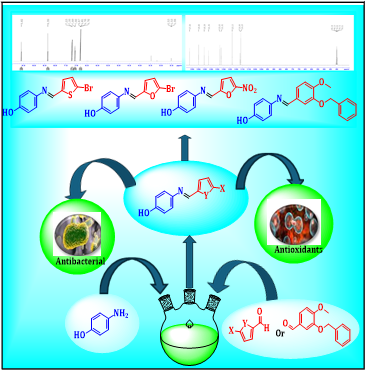 Synthesis, Characterization, Antioxidant, and Antimicrobial Evaluation of Novel (<em>E</em>)-4-(Substituted Benzylideneamino)phenol Derivatives Featuring Heteroaryl and Aryloxy Substituents 