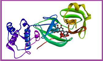 Computational Study on Inhibitory Potential of Natural Compounds against SARS-CoV-2 Main Protease
