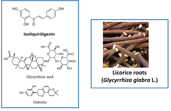 Isoliquiritigenin from Licorice Root (<em>Glycyrrhiza glabra</em> L.) as an Inhibitor of Coagulation Factor Xa: Integrated <em>In Vitro</em> and <em>In Silico</em> Studies