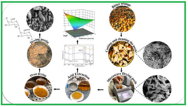 Electromagnetic Pre-Treatment for Extraction of Bitter Orange Peel Pectin: Response Surface Methodology Yield/Degree of Esterification