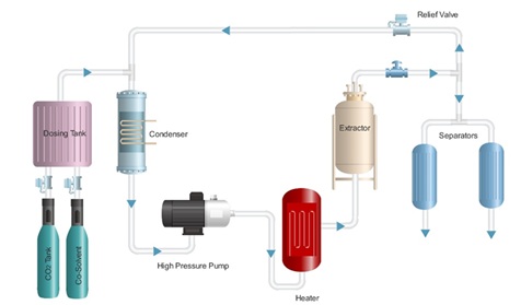 A Short Review on Supercritical Fluid Extraction: A Key to Good Performance 