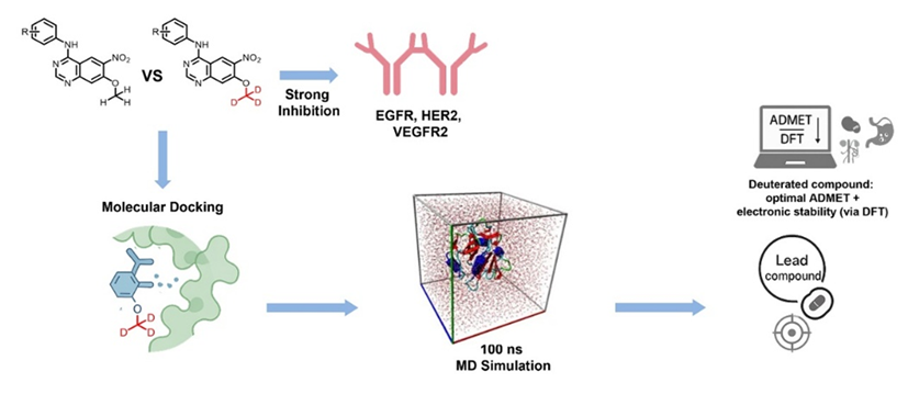 New Potent Deuterated Methoxy of 4-Anilinoquinazoline Derivatives Targeting Eight Receptor Tyrosine Kinases: Synthesis, <em>In Vitro</em>, and <em>In Silico</em> Studies