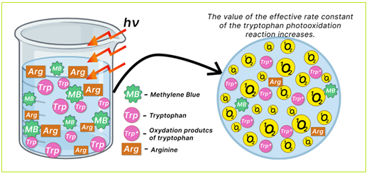 Effect of Arginine on the Kinetics of Singlet Oxygen Photogeneration in the Presence of Photoditazine, Rose Bengal, and Methylene Blue Solubilized with Polyvinylpyrrolidone 