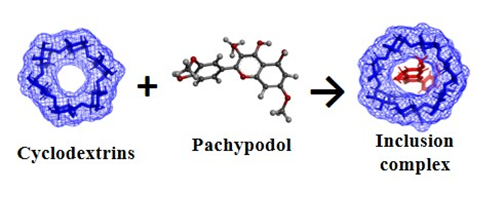 Inclusion Complexes of Pachypodol with Unmodified and Modified Cyclodextrin Nanocarriers: Theoretical Studies 
