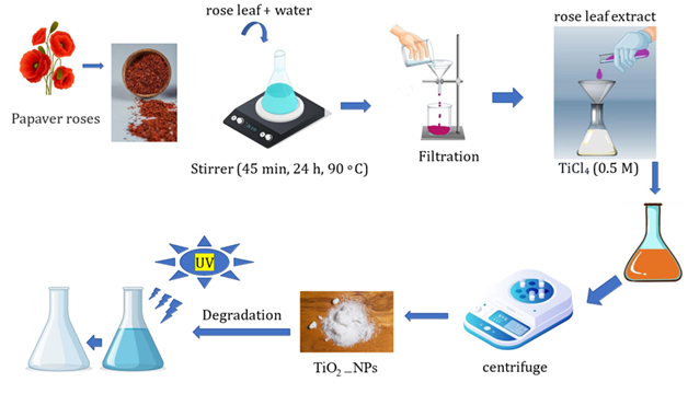 Plant-Based Synthesis of TiO<sub>2</sub>-NPs Using <em>Papaver Rhoeas</em> Leaf Extract: A Study of Photocatalytic and Antibacterial Activities 