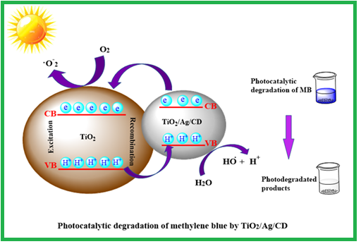 Synthesis of TiO<sub>2</sub>/CD and TiO2/Ag/CD Nanocomposites and Investigation of Their Visible Light Photocatalytic Activities in the Degradation of Methylene Blue