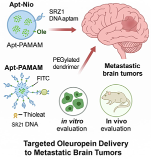 Comparative Thermodynamic and Chemical Characterization of PEGylated Dendrimers and Aptamer-Guided Niosomes for Oleuropein Delivery to Brain Metastases 