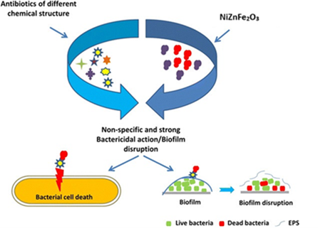 NiZnFe<sub>2</sub>O<sub>3</sub> Quaternary Alloy Nanoparticles to Evaluate Antibacterial Activity against Imipenem-Resistant Bacteria 