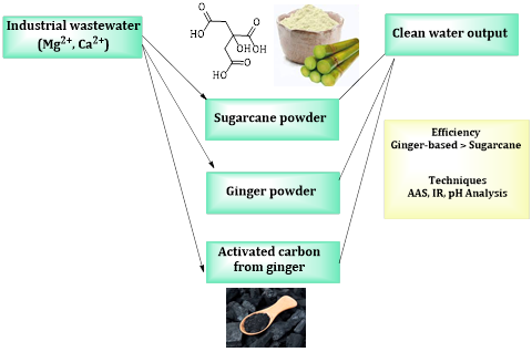 Assessing the Efficiency of Sugarcane and Ginger Powder and Their Activated Carbon in Removing Magnesium and Calcium Ions from Water 