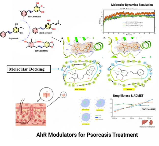 Computational Identification of Natural Product&ndash;Based Aryl Hydrocarbon Receptor Modulators for Psoriasis Therapy 