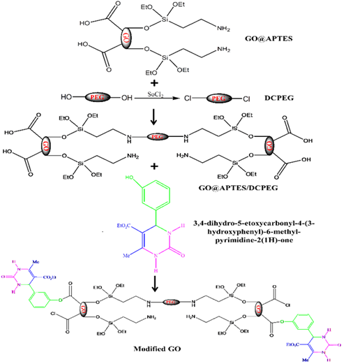 Synthesis, Characterization, and Adsorption Studies of Functionalized Graphene Oxide <em>via </em>Covalent Interactions 