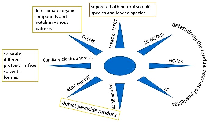 Rapid detection Methods of Pesticides Residues in Vegetable Foods 