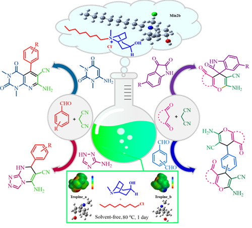 Introduction of a New Ionic Liquid Based on Tropine for the Acceleration of the Synthesis of Several Hetero-Aromatic Compounds and Investigation of Its Physicochemical Property and Antibacterial Activity 