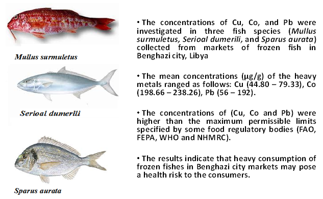 Determination of Cu, Co, and Pb in selected frozen fish tissues collected from Benghazi markets in Libya 