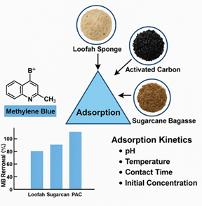 Chemical Characterization and Adsorption Kinetics of Methylene Blue: A Comparative Study of Activated Carbon and Plant-Based Bioadsorbents 