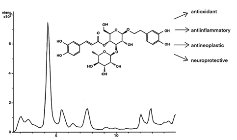 Polyphenolic Metabolites of Scutellaria Lateriflora Hairy Root Culture 