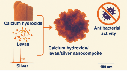 Optimize the Synthesis of Calcium Hydroxide/Levan/Silver Nanocomposite as an Antibacterial Agent 