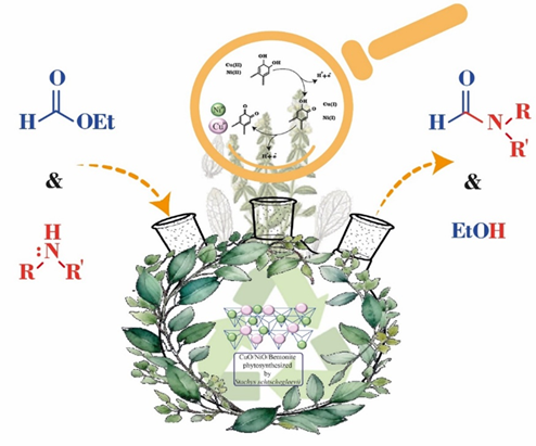 Phytosynthesis of CuO/NiO Nanoparticles Supported on Bentonite Using Aqueous Leaf Extract of Stachys schtschegleevii for <em>N</em>-Formylation of Amines 
