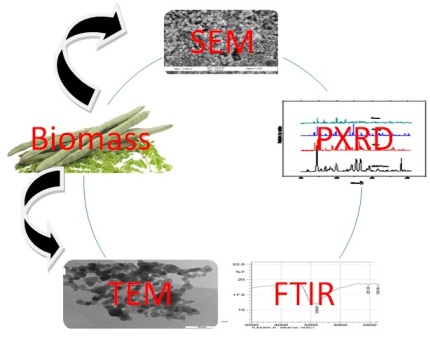 On The Characterization, Utilization and Wastewater Detoxification Potential of Pyrolysed Moringa oleifera Pods and Shells PART A: Sorbent Preparation and Characterization 