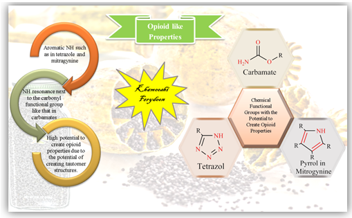 Dark Classics in Chemical Neuroscience: Comprehensive Study on the Biochemical Mechanisms and Clinical Implications of Opioid Analgesics