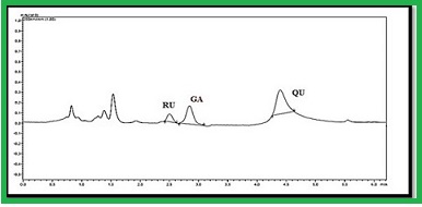 Estimation of Anti-dengue Phytochemical Markers Gallic acid, Rutin and Quercetin in Methanolic Extract of Euphorbia hirta (L.) and Tawa-Tawa Capsule Formulation by Validated RP-HPLC Method 