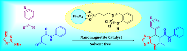 Preparation of [1,2,4]Triazolo[1,5-<em>a</em>]Pyrimidines Accelerated by Magnesium Schiff Base Complex Immobilized on Magnetite Nanoparticles 