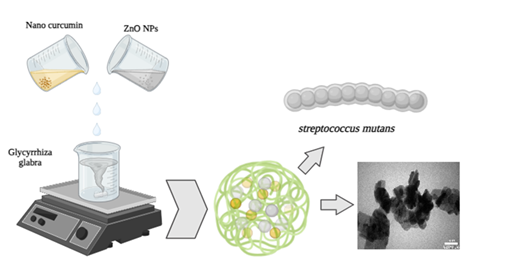 Synthesis of Novel Zinc Oxide/Glycyrrhiza Glabra/Curcumin Nanocomposite and Investigation of Its Antibacterial Properties Against Dental Biofilm 